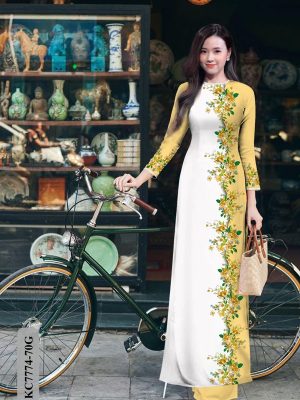 1608004930 94 vai ao dai dep (14)